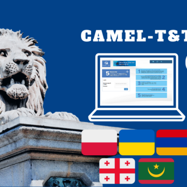 CAMEL-T&T Project: October 2024 Update